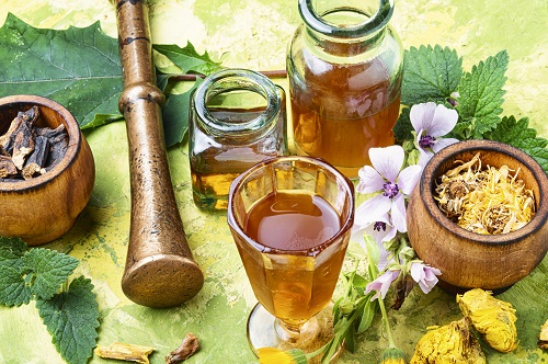 Conseiller en naturopathie
